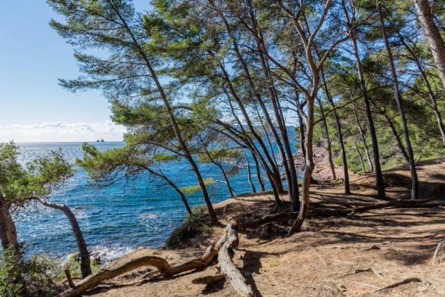 Studio Climatise Avec Jardin Et Plage A 250M Saint-Mandrier-sur-Mer Buitenkant foto