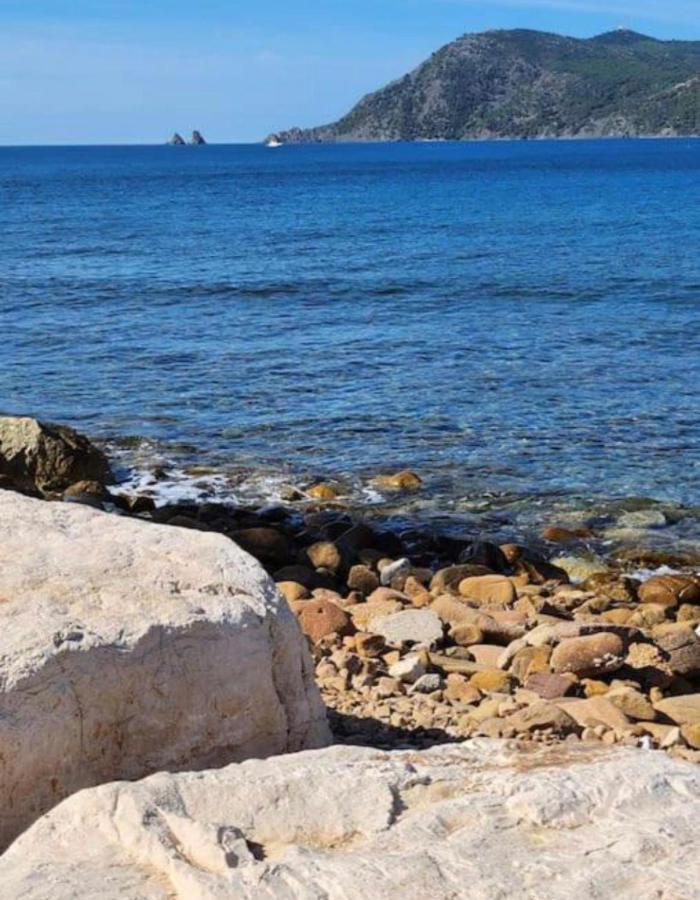 Studio Climatise Avec Jardin Et Plage A 250M Saint-Mandrier-sur-Mer Buitenkant foto